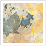 Fall Color III - Image 3