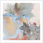 Fall Color III - Image 4