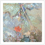 Fall Color III - Image 1