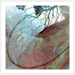 Fall Color III - Image 4